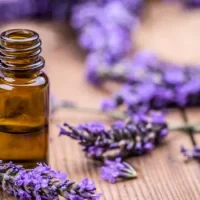 lavender-oil_620x350_71487584252